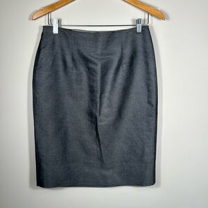 Alberta Ferretti Grey/Silver Skirt